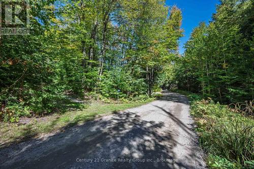 1453 Fleming Road, Minden Hills (Anson), ON 
