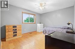 Light gray walls, wood-finish flooring, and a ceiling fan with light fixture - 