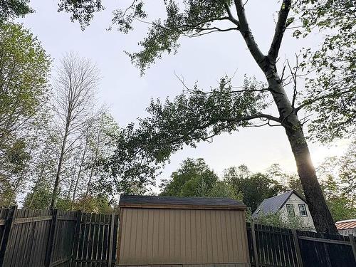 938 George Street, Sydney, NS 