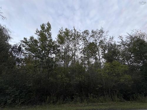 Lot 1 Adrian Smith Lane, Abercrombie, NS 