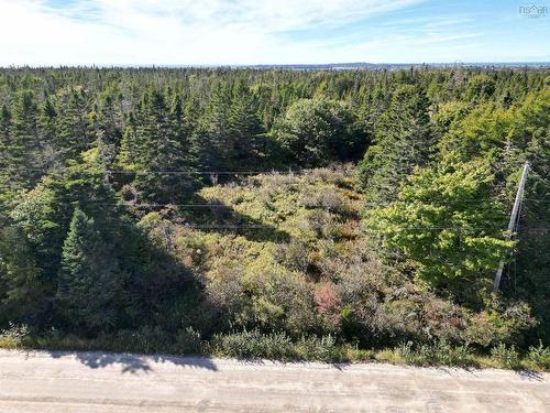 Vacant Land Cleveland Road, Kelleys Cove, NS 