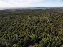 Vacant Land Cleveland Road, Kelleys Cove, NS 