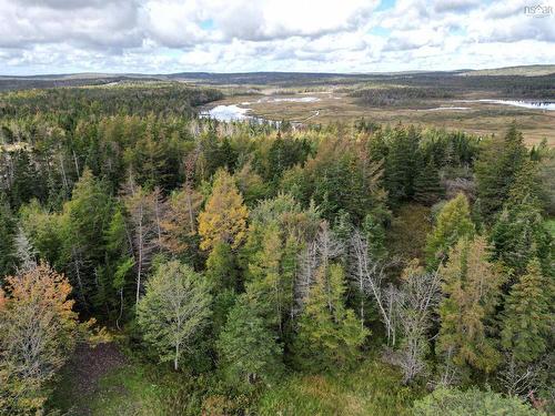 Lot Highway 320, Louisdale, NS 