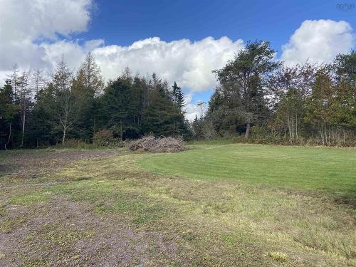 Lot Highway 320, Louisdale, NS 