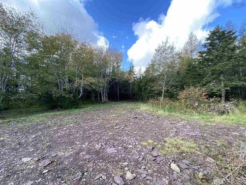 Lot Highway 320, Louisdale, NS 
