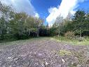 Lot Highway 320, Louisdale, NS 