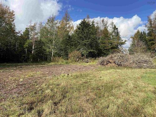 Lot Highway 320, Louisdale, NS 