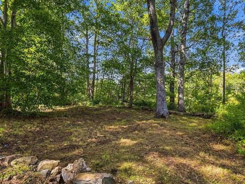398 Danesville Loop, Danesville, NS 