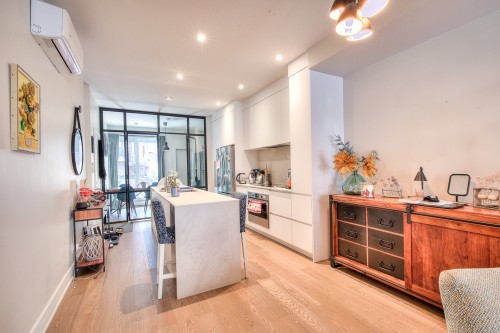 Vue d'ensemble - 4445 Rue Drolet, Montréal (Le Plateau-Mont-Royal), QC 