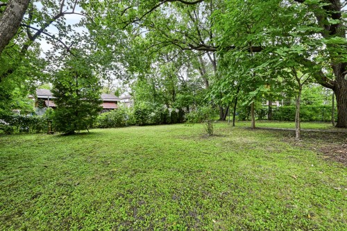 Cour - 196 Rue Greenfield, Longueuil (Greenfield Park), QC 