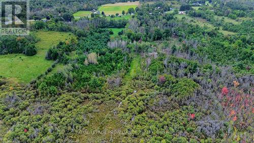 2696 Mcintosh Road, Augusta, ON 