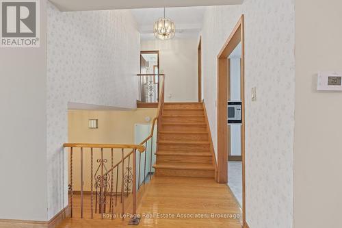 59 Alanmeade Crescent, Toronto, ON 