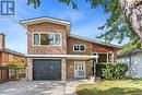 59 Alanmeade Crescent, Toronto, ON 