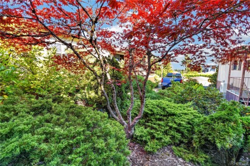 #110-6325 Metral Dr, Nanaimo, BC 