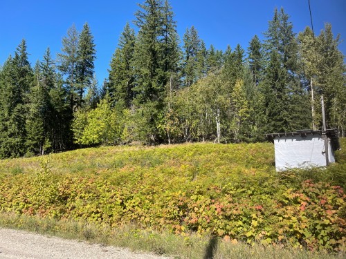 Bartley Road, Nakusp, BC 