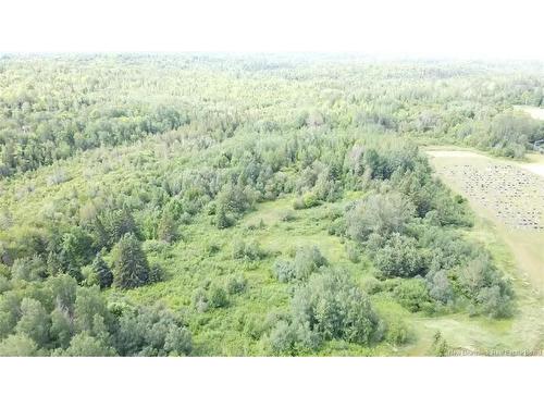 38.8 Acres Lorne, Lorne, NB 