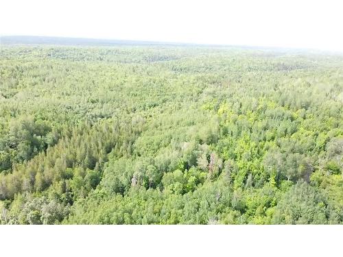 38.8 Acres Lorne, Lorne, NB 