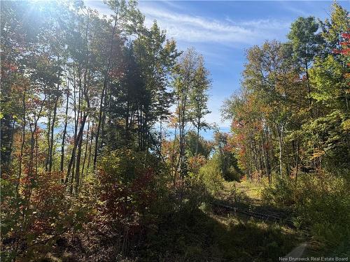 Lot Bettsburg Rd, Bettsburg, NB 