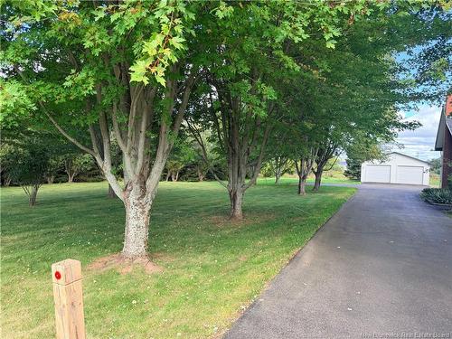 12 Meredith Dr, Sussex Corner, NB 