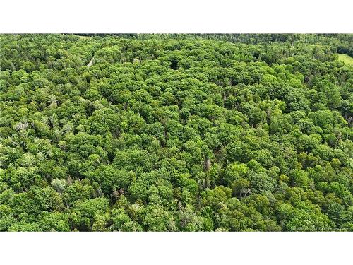 Lot 12-2 Hills Point Rd, Oak Bay, NB 