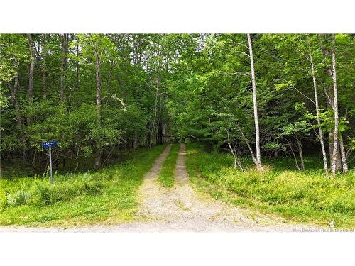 Lot 12-2 Hills Point Rd, Oak Bay, NB 
