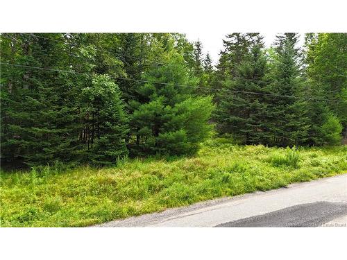 Lot 12-2 Hills Point Rd, Oak Bay, NB 