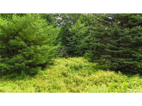 Lot 12-2 Hills Point Rd, Oak Bay, NB 