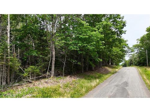 Lot 12-2 Hills Point Rd, Oak Bay, NB 