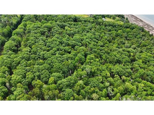 Lot 12-2 Hills Point Rd, Oak Bay, NB 