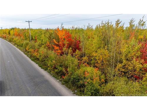 21-3 Middlesex, Colpitts Settlement, NB 