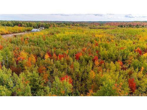 21-3 Middlesex, Colpitts Settlement, NB 