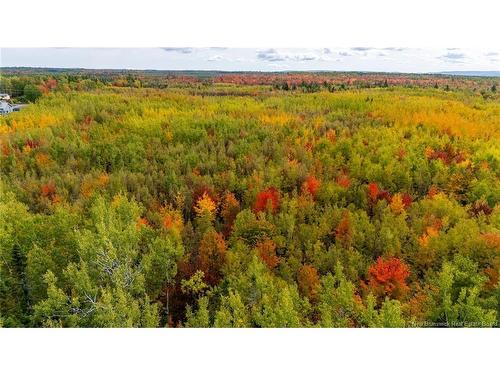 21-3 Middlesex, Colpitts Settlement, NB 