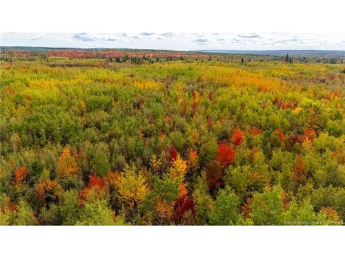 21-3 Middlesex, Colpitts Settlement, NB 