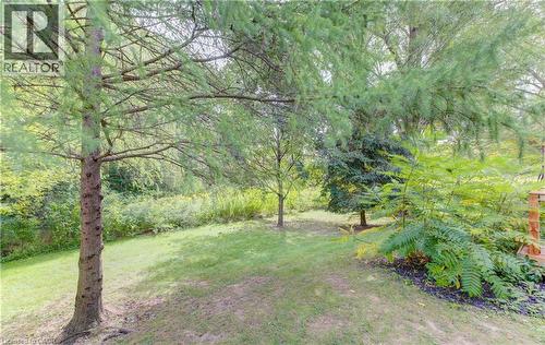 Green space featuring mature trees and established plantings - 25 Bankside Drive Unit# 2, Kitchener, ON 