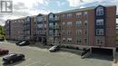 47 Margaret'S Place Unit#310, St. John'S, NL 