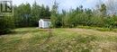 69 White Boulevard, Sandringham, NL 