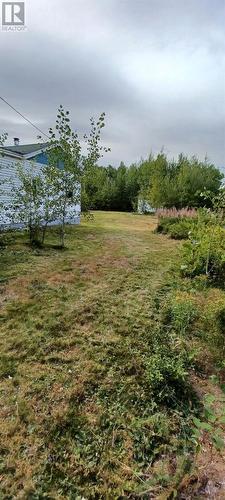 69 White Boulevard, Sandringham, NL 