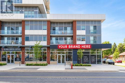B - 205 Queen Street E, Brampton, ON 
