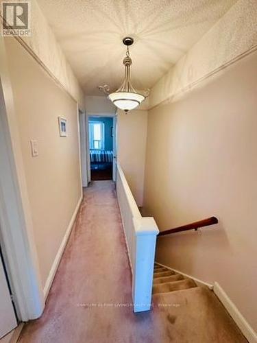 382 Roxton Road, Toronto, ON 