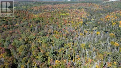 Pt Lt 5 Con 14 South Horn Lake Road, Armour, ON 
