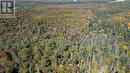 Pt Lt 5 Con 14 South Horn Lake Road, Armour, ON 