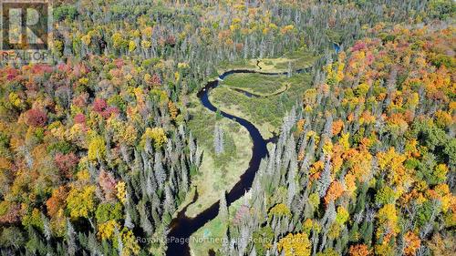 Pt Lt 5 Con 14 South Horn Lake Road, Armour, ON 