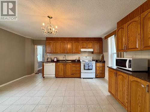 53 Louisa Street, Ottawa, ON 