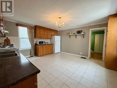 53 Louisa Street, Ottawa, ON 