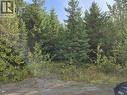 Lot 4 Pollard Road, Quesnel, BC 