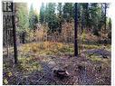 Lot 4 Pollard Road, Quesnel, BC 