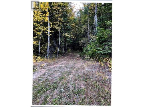 Lot 4 Pollard Road, Quesnel, BC 