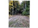 Lot 4 Pollard Road, Quesnel, BC 