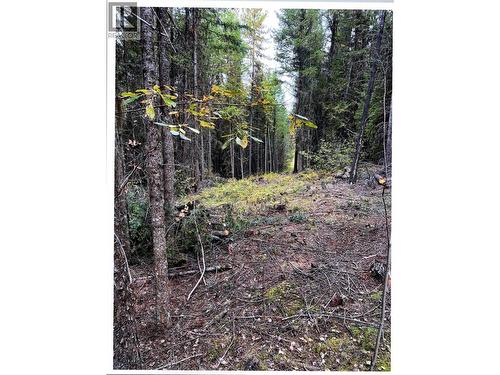 Lot 4 Pollard Road, Quesnel, BC 