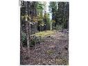 Lot 4 Pollard Road, Quesnel, BC 
